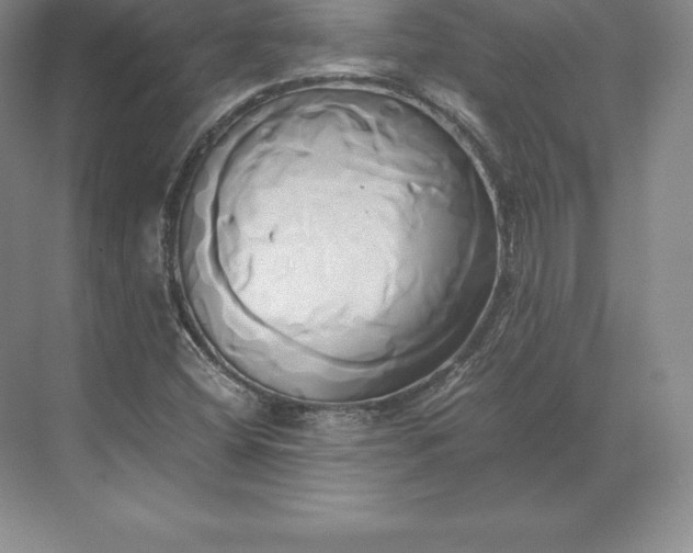 X0000071381404200607071829