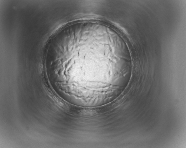 X0000071381407200607071830