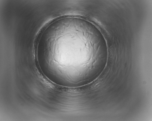 X0000071381408200607071830