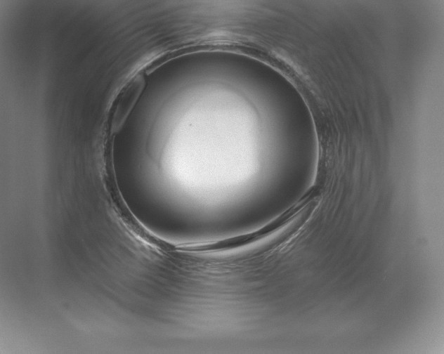 X0000071381410200607071830