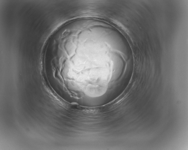 X0000071381415200607071830