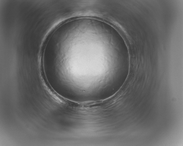 X0000071381416200607071830