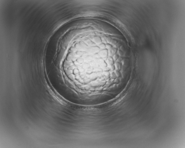 X0000071381417200607071830