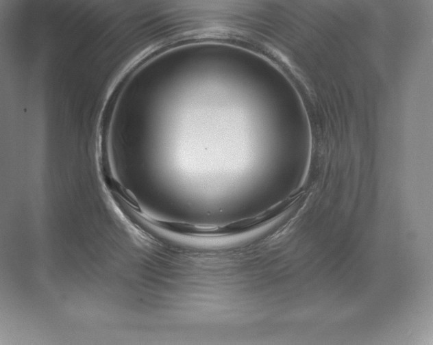 X0000071381418200607071830