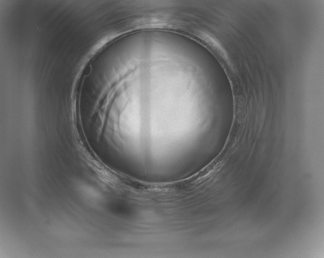 X0000071381419200607071830