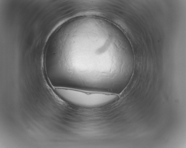 X0000071381420200607071830