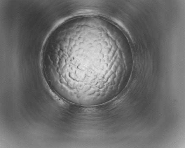 X0000071381421200607071830