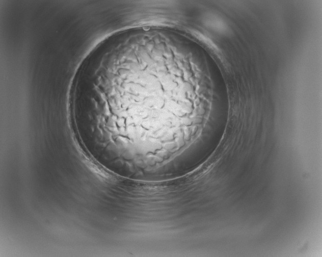 X0000071381423200607071830