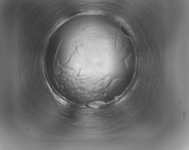 X0000071381425200607071830