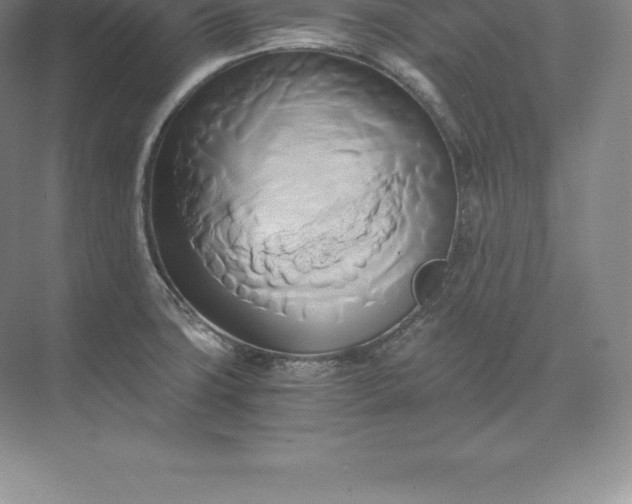 X0000071381427200607071830