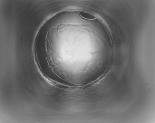 X0000071381429200607071830