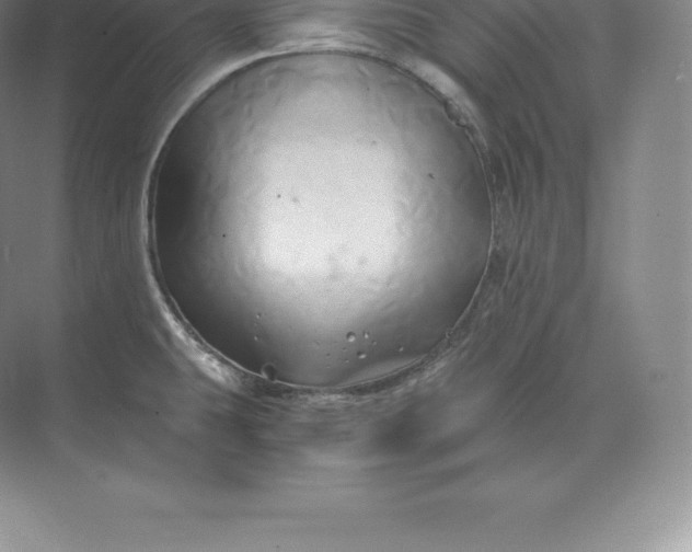 X0000071381431200607071830