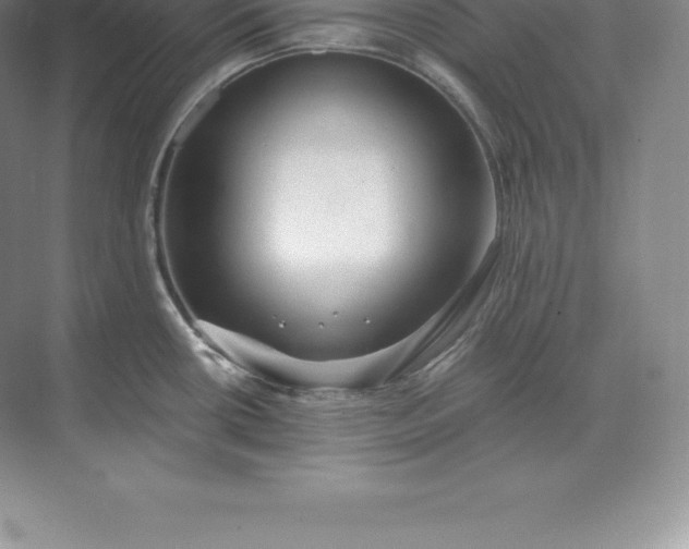 X0000071381434200607071830