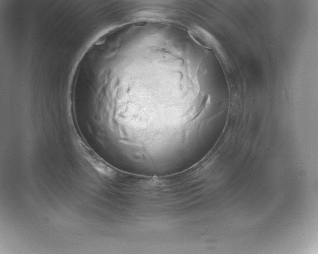 X0000071381435200607071830