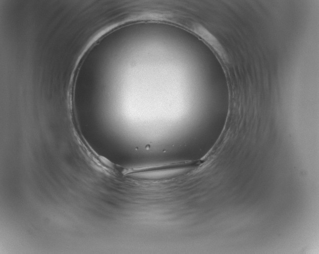 X0000071381436200607071830