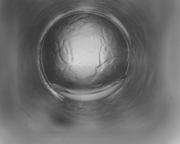 X0000071381437200607071830