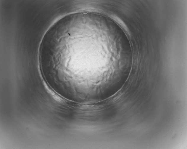 X0000071381439200607071830