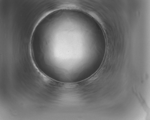 X0000071381440200607071830