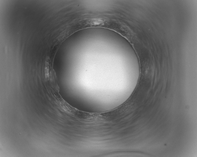 X0000071381442200607071829