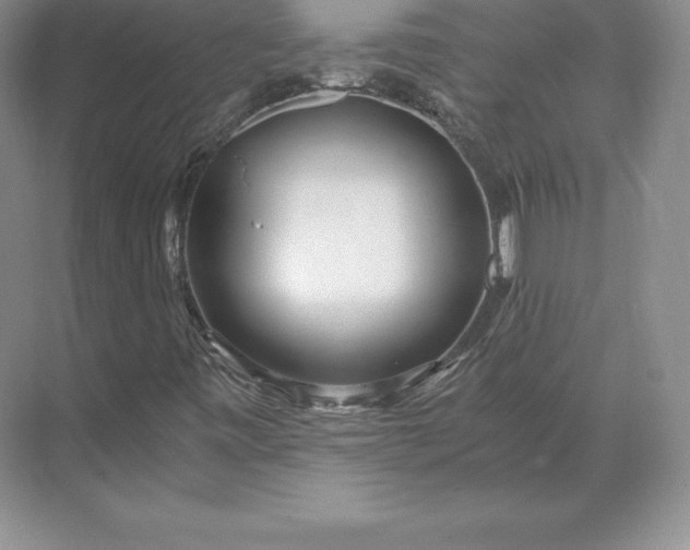 X0000071381443200607071829