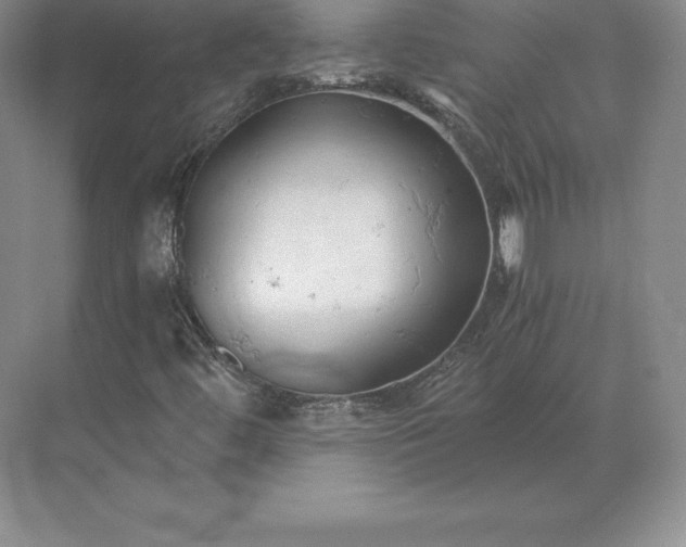 X0000071381444200607071829