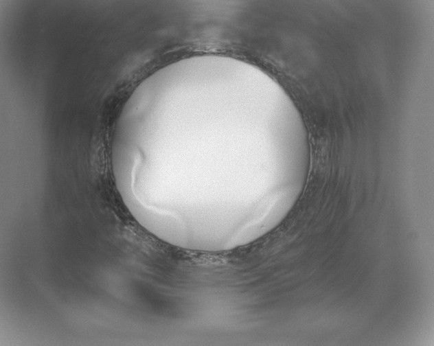 X0000071381446200607071829