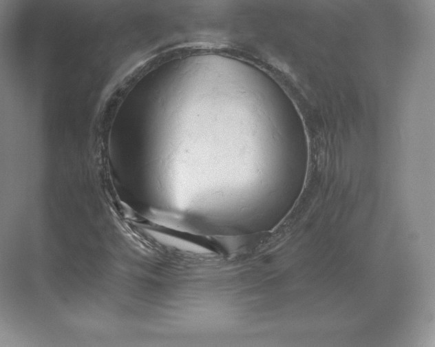 X0000071381448200607071829