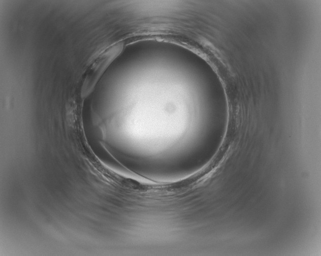 X0000071381449200607071829