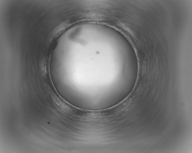 X0000071381451200607071829