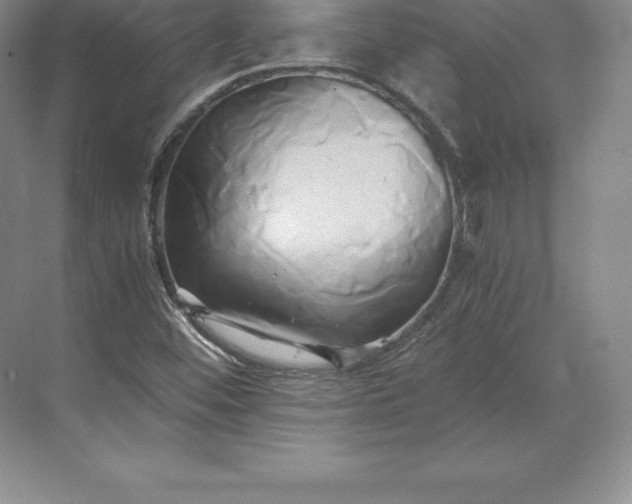 X0000071381452200607071829