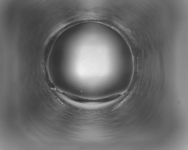 X0000071381453200607071829