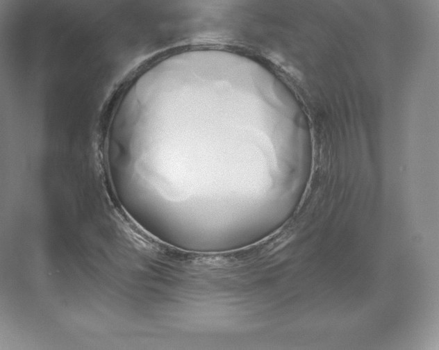 X0000071381454200607071829