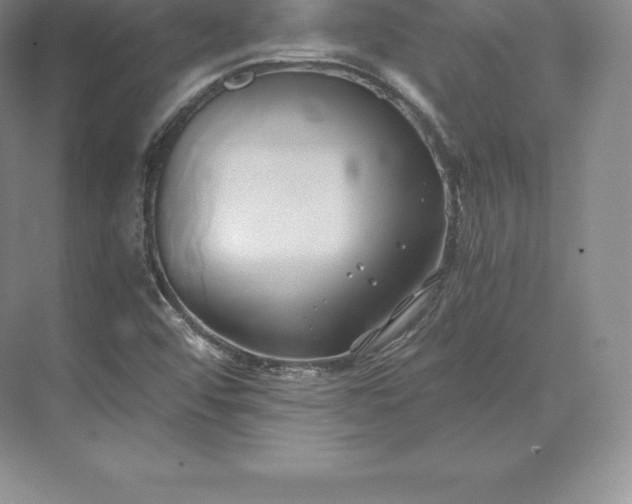 X0000071381456200607071829