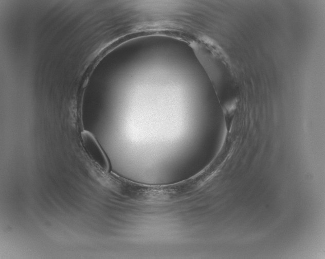 X0000071381457200607071829