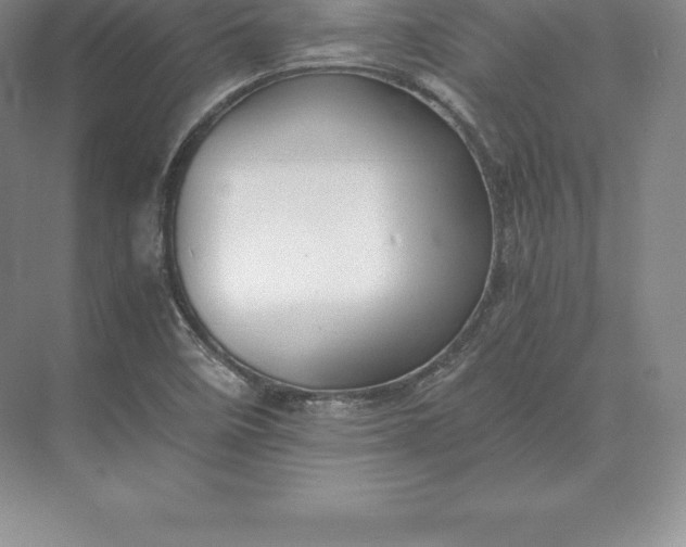 X0000071381458200607071829