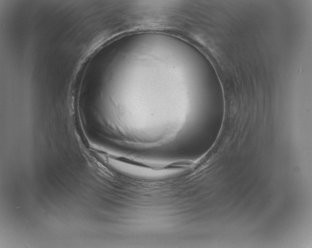 X0000071381459200607071829