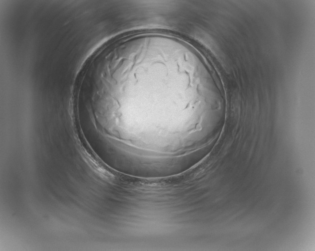 X0000071381460200607071829