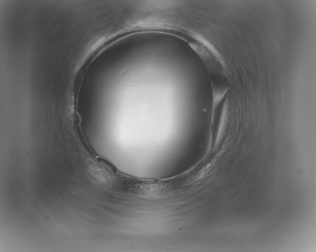 X0000071381461200607071829