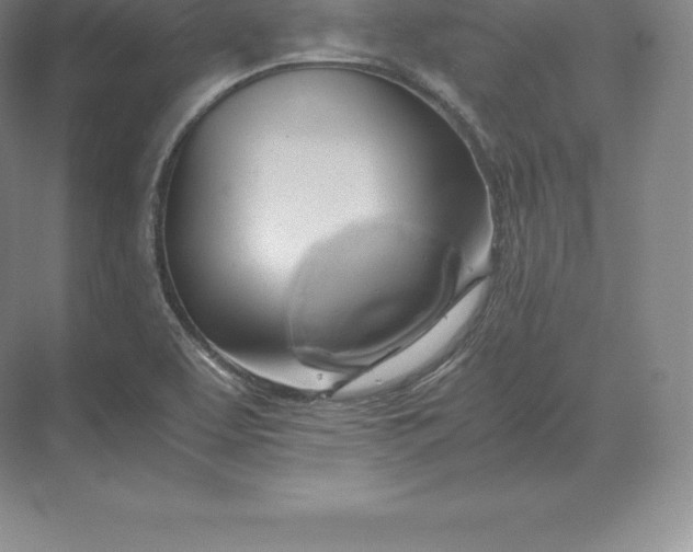 X0000071381463200607071829