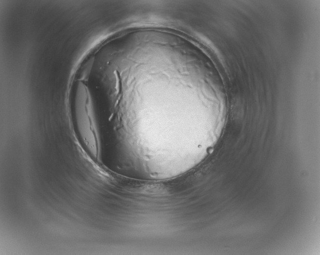 X0000071381464200607071829