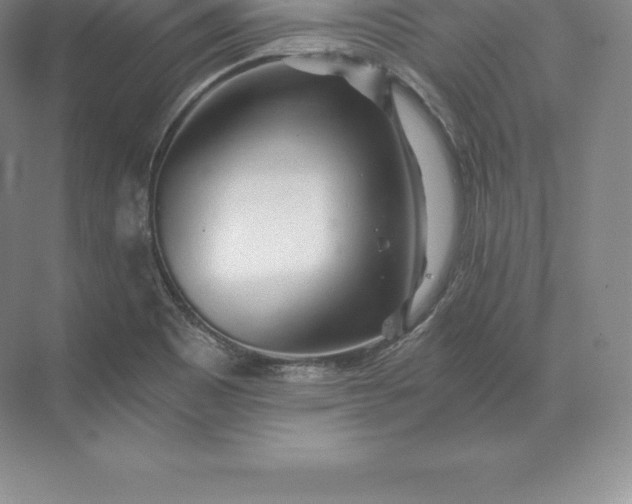 X0000071381465200607071829