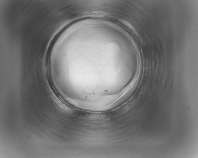 X0000071381466200607071829