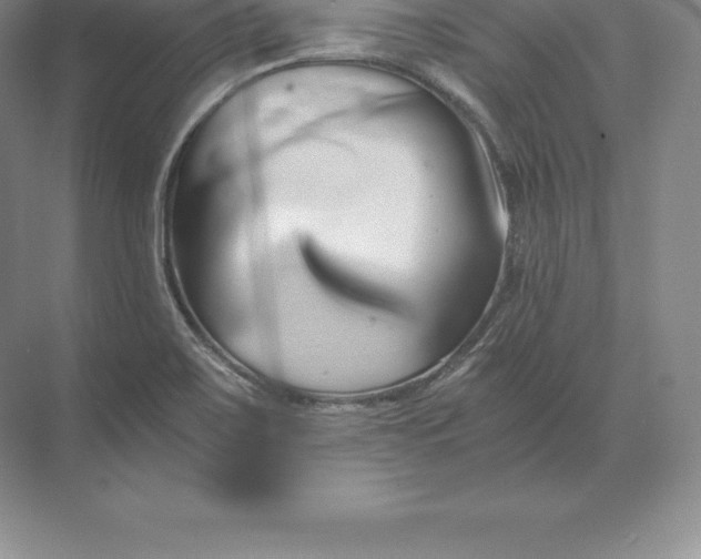 X0000071381467200607071829