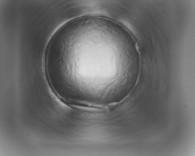 X0000071381468200607071829