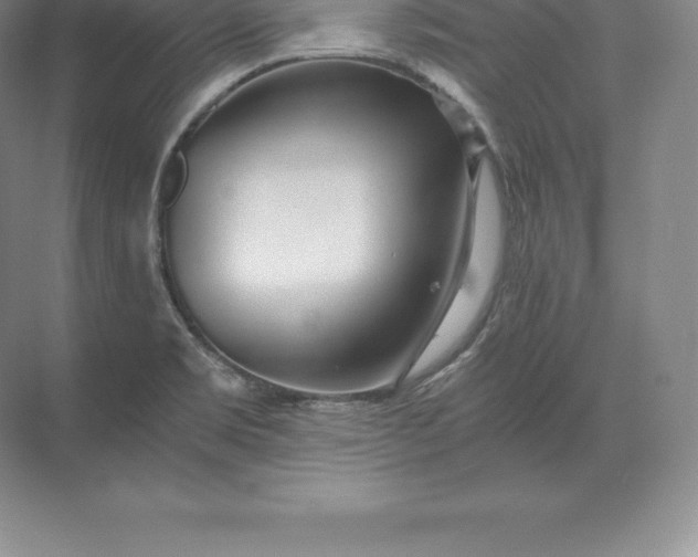 X0000071381469200607071829