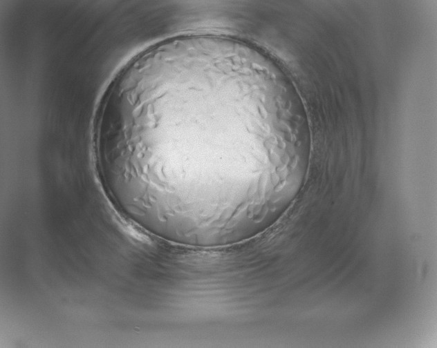 X0000071381470200607071829