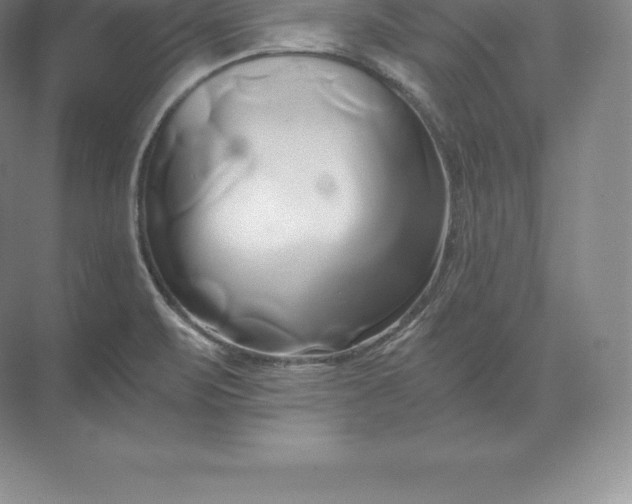 X0000071381471200607071829