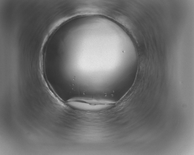 X0000071381472200607071829