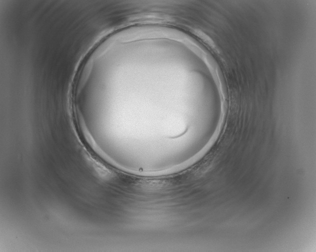 X0000071381474200607071829