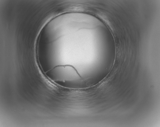 X0000071381475200607071829